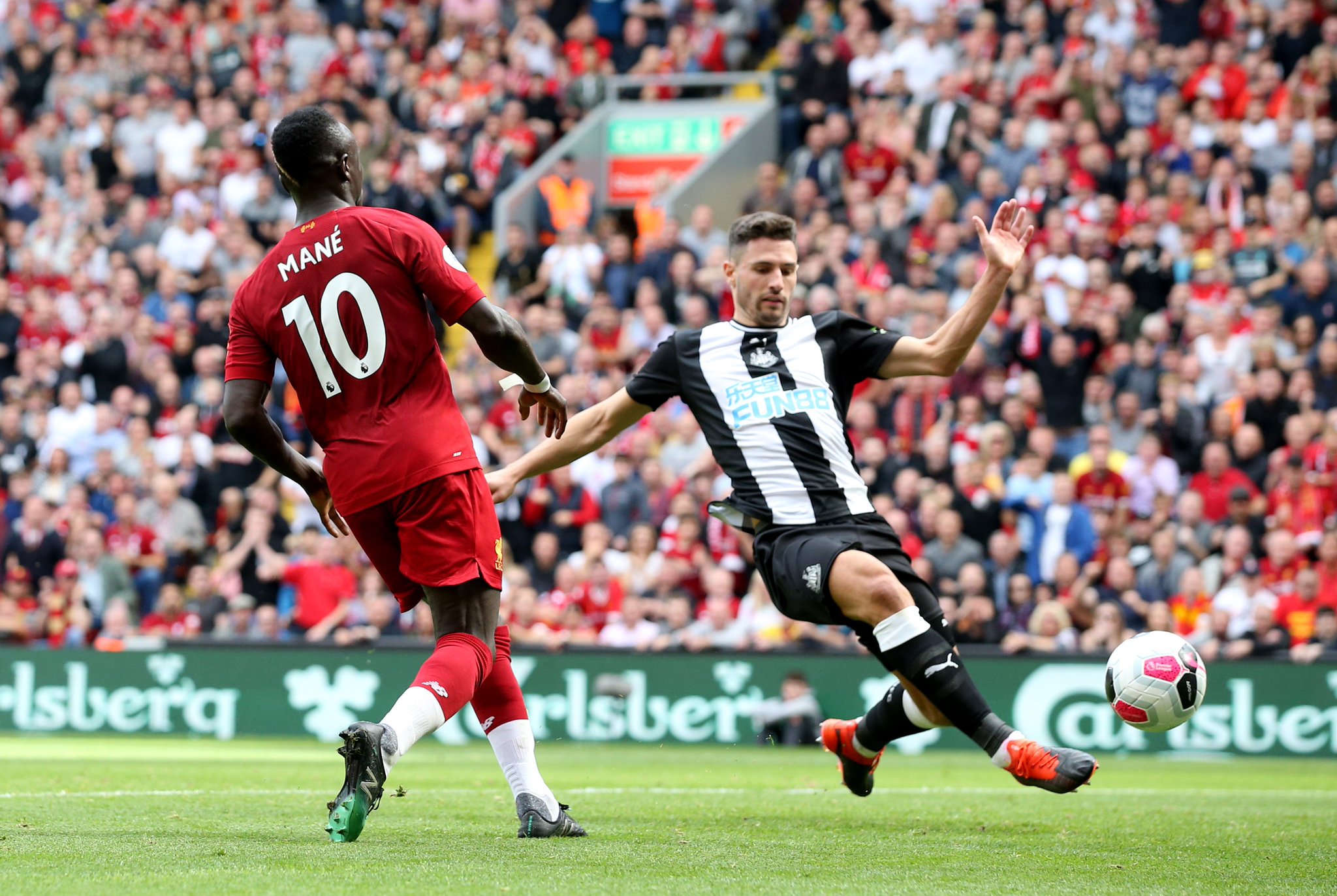 已自然嵌入 已自然嵌入